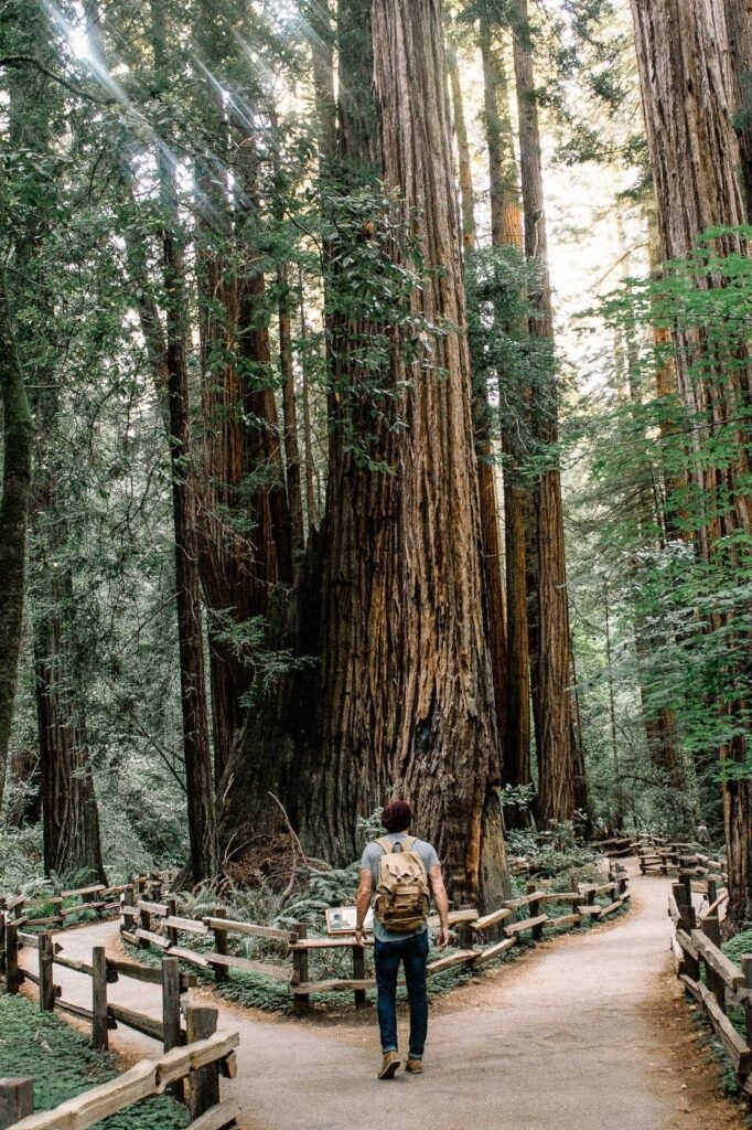 man choosing the right path